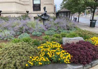 Annual Flower & Urban Garden Design and Installation Project in Stamford, CT